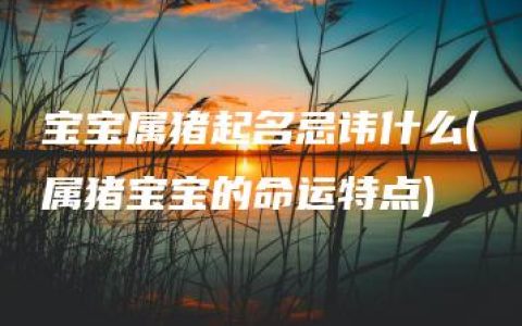 宝宝属猪起名忌讳什么(属猪宝宝的命运特点)