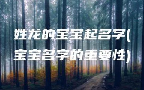 姓龙的宝宝起名字(宝宝名字的重要性)