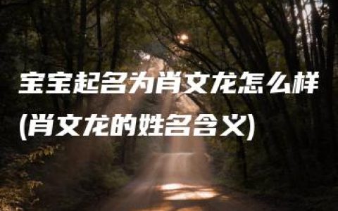 宝宝起名为肖文龙怎么样(肖文龙的姓名含义)