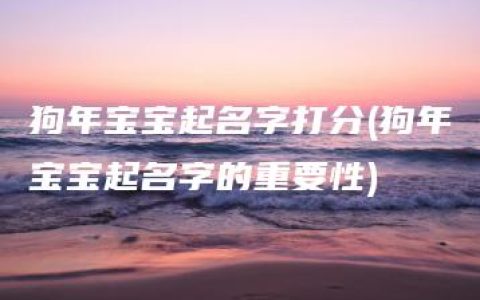 狗年宝宝起名字打分(狗年宝宝起名字的重要性)