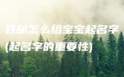 姓胡怎么给宝宝起名字(起名字的重要性)