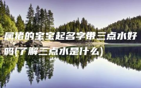 属猪的宝宝起名字带三点水好吗(了解三点水是什么)