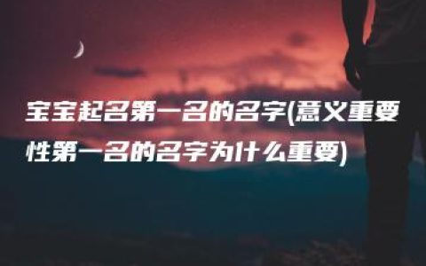 宝宝起名第一名的名字(意义重要性第一名的名字为什么重要)