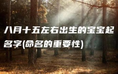 八月十五左右出生的宝宝起名字(命名的重要性)