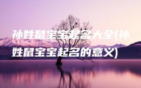 孙姓鼠宝宝起名大全(孙姓鼠宝宝起名的意义)