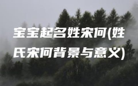 宝宝起名姓宋何(姓氏宋何背景与意义)