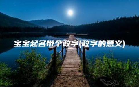 宝宝起名带个政字(政字的意义)