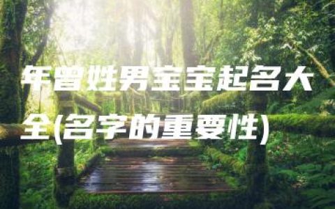 年曾姓男宝宝起名大全(名字的重要性)