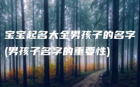 宝宝起名大全男孩子的名字(男孩子名字的重要性)