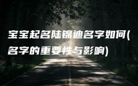 宝宝起名陆锦迪名字如何(名字的重要性与影响)