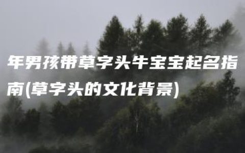 年男孩带草字头牛宝宝起名指南(草字头的文化背景)