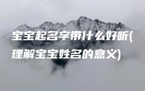 宝宝起名字带什么好听(理解宝宝姓名的意义)