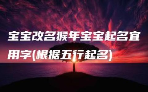 宝宝改名猴年宝宝起名宜用字(根据五行起名)