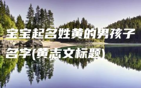 宝宝起名姓黄的男孩子名字(黄志文标题)