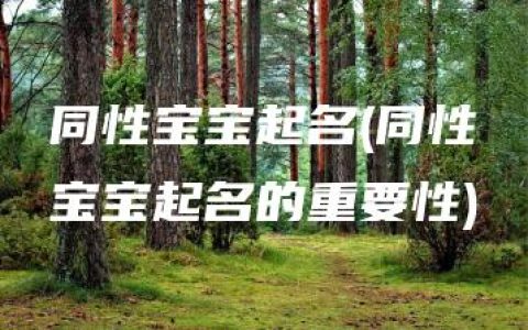 同性宝宝起名(同性宝宝起名的重要性)