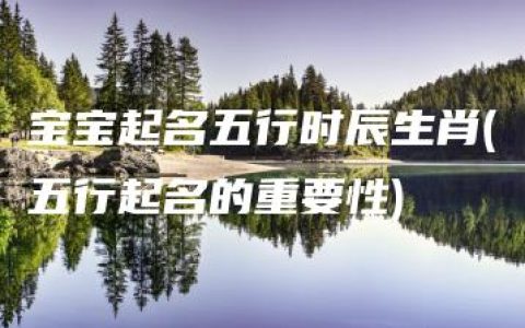 宝宝起名五行时辰生肖(五行起名的重要性)