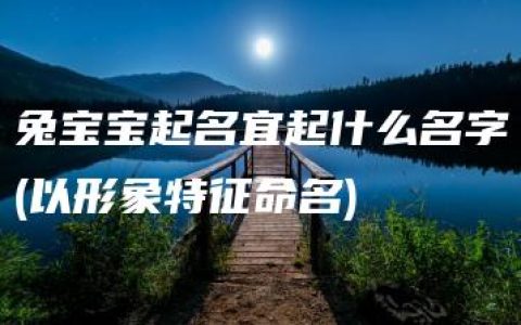 兔宝宝起名宜起什么名字(以形象特征命名)