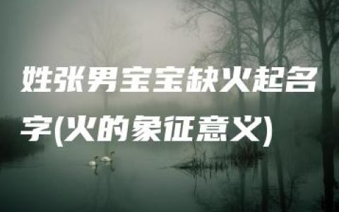 姓张男宝宝缺火起名字(火的象征意义)