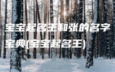 宝宝起名王和张的名字宝典(宝宝起名王)