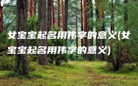 女宝宝起名用伟字的意义(女宝宝起名用伟字的意义)