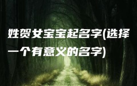 姓贺女宝宝起名字(选择一个有意义的名字)