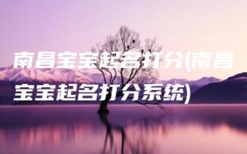 南昌宝宝起名打分(南昌宝宝起名打分系统)