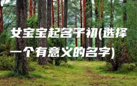 女宝宝起名子初(选择一个有意义的名字)