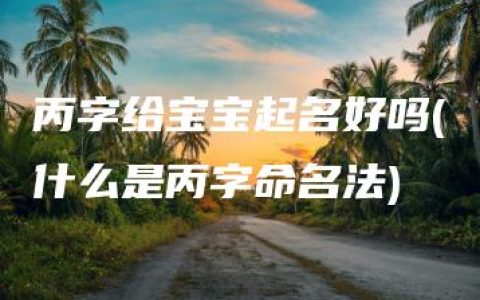 丙字给宝宝起名好吗(什么是丙字命名法)