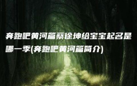 奔跑吧黄河篇蔡徐坤给宝宝起名是哪一季(奔跑吧黄河篇简介)