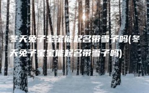 冬天兔子宝宝能起名带雪子吗(冬天兔子宝宝能起名带雪子吗)