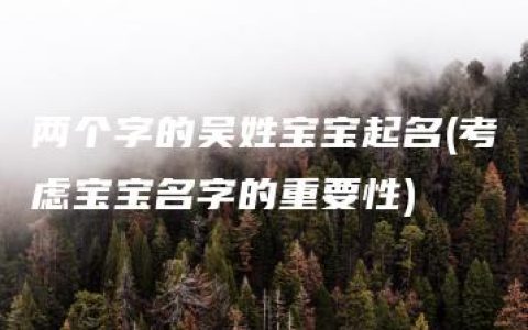 两个字的吴姓宝宝起名(考虑宝宝名字的重要性)