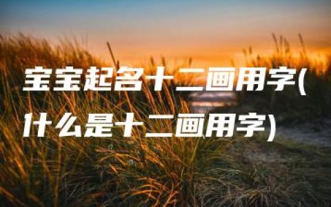 宝宝起名十二画用字(什么是十二画用字)