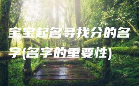 宝宝起名寻找分的名字(名字的重要性)