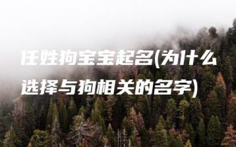 任姓狗宝宝起名(为什么选择与狗相关的名字)