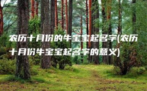 农历十月份的牛宝宝起名字(农历十月份牛宝宝起名字的意义)