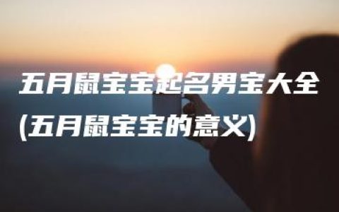 五月鼠宝宝起名男宝大全(五月鼠宝宝的意义)