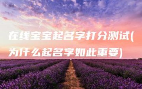 在线宝宝起名字打分测试(为什么起名字如此重要)