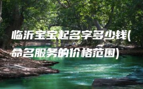 临沂宝宝起名字多少钱(命名服务的价格范围)