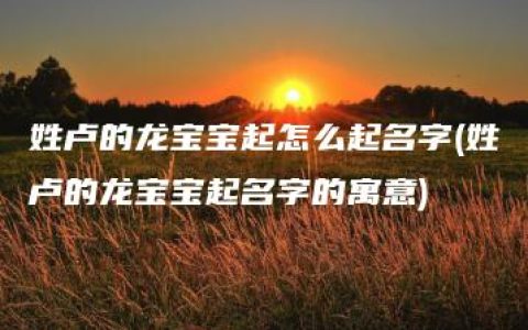 姓卢的龙宝宝起怎么起名字(姓卢的龙宝宝起名字的寓意)