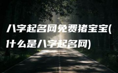 八字起名网免费猪宝宝(什么是八字起名网)