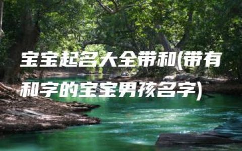 宝宝起名大全带和(带有和字的宝宝男孩名字)