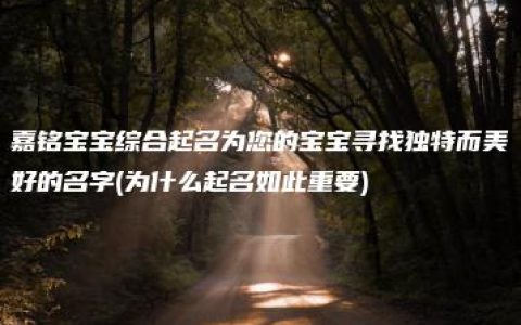 嘉铭宝宝综合起名为您的宝宝寻找独特而美好的名字(为什么起名如此重要)