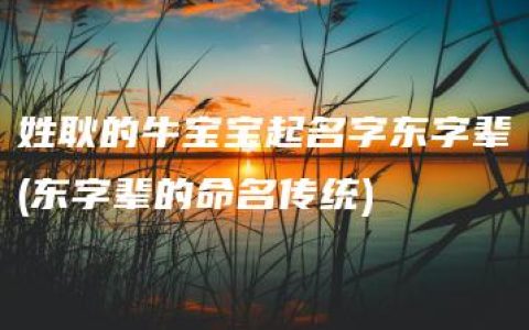 姓耿的牛宝宝起名字东字辈(东字辈的命名传统)