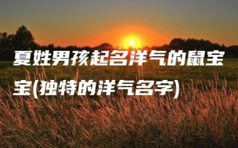 夏姓男孩起名洋气的鼠宝宝(独特的洋气名字)