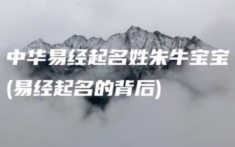 中华易经起名姓朱牛宝宝(易经起名的背后)