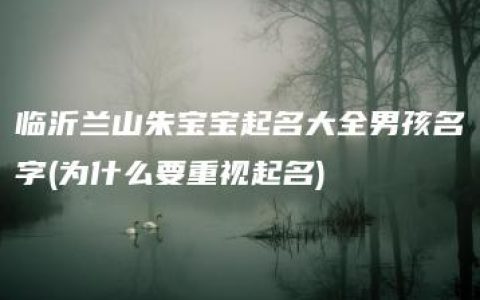 临沂兰山朱宝宝起名大全男孩名字(为什么要重视起名)