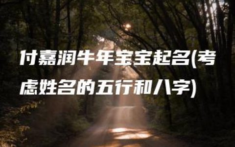 付嘉润牛年宝宝起名(考虑姓名的五行和八字)