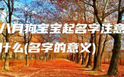 八月狗宝宝起名字注意什么(名字的意义)