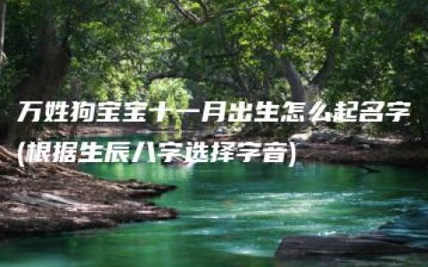 万姓狗宝宝十一月出生怎么起名字(根据生辰八字选择字音)