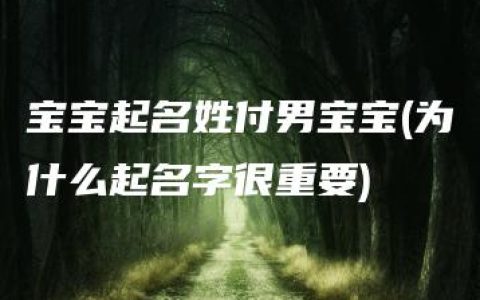 宝宝起名姓付男宝宝(为什么起名字很重要)